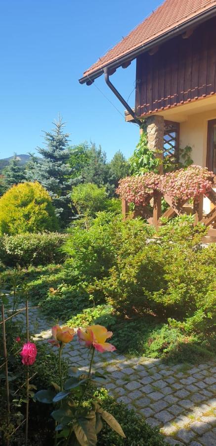 Holiday home Dom Pod Wilczyncem Stronie Slaskie